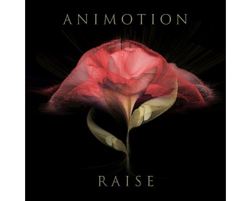 Animotion - Raise Your Expectations