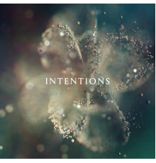 Anna - Intentions