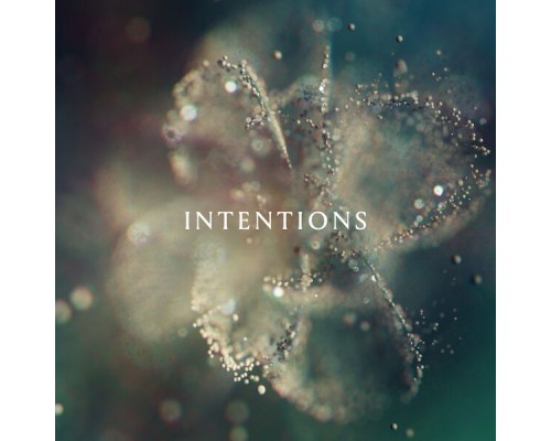 Anna - Intentions