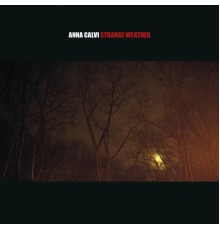 Anna Calvi - Strange Weather