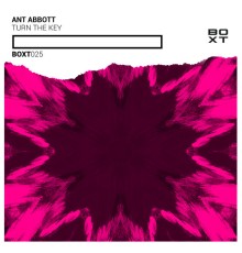 Ant Abbott - Turn The Key