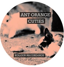 Ant Orange - Cuties