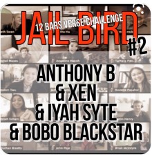 Anthony B - Jailbird Riddim #2