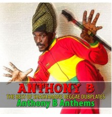 Anthony B - The Best of Shashamane Reggae Dubplates (Anthony B Anthems)