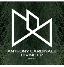 Anthony Cardinale - Divine EP