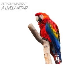 Anthony Maserati - A Lively Affair