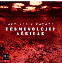 Antikor, Zarate - TERMİNOLOJİK AĞRILAR