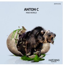 Anton C - Mad World