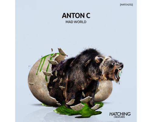 Anton C - Mad World