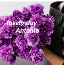 Antonio - lovely day