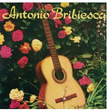 Antonio Bribiesca - Antonio Bribiesca