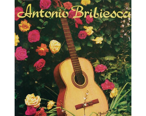 Antonio Bribiesca - Antonio Bribiesca