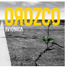 Antonio Orozco - Aviónica