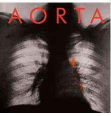 Aorta - Aorta