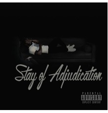 Apollo - Stay of Adjudication