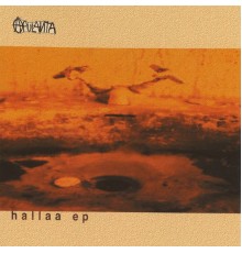 Apulanta - Hallaa