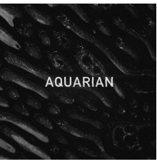 Aquarian - Aquarian