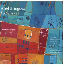 Ariel Brínguez - Experience