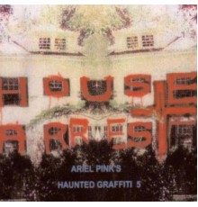 Ariel Pink - House Arrest