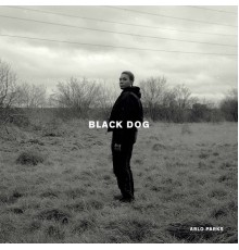 Arlo Parks - Black Dog