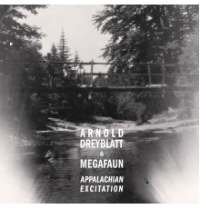 Arnold Dreyblatt & Megafaun - Appalachian Excitation