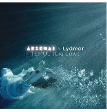 Arsenal - Temul (Lie Low)