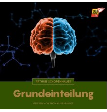 Arthur Schopenhauer - Grundeinteilung