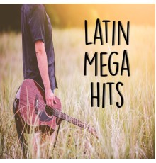 Artisti Vari - latin mega hits