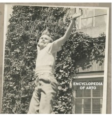 Arto Lindsay - Encyclopedia of Arto