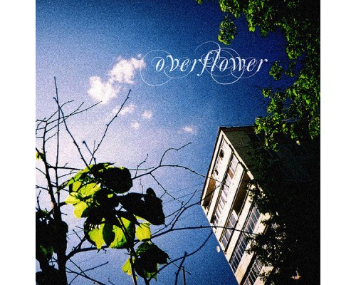 Artyom Romanenko - Overflower