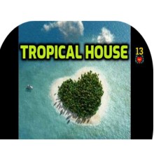 Asa Seamur Bey - Tropical House