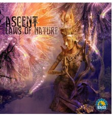 Ascent - Laws of Nature