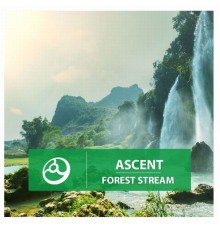 Ascent - Forest Stream