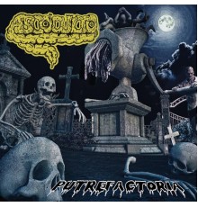 Ascoculto - Putrefactoria