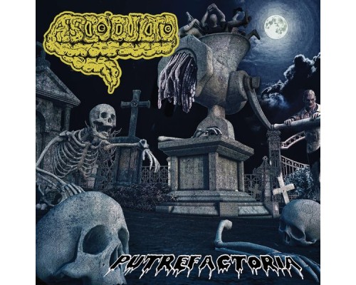 Ascoculto - Putrefactoria