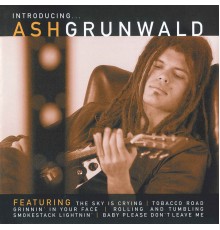 Ash Grunwald - Introducing