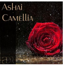 Ashai - Camellia