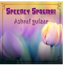 Ashraf Gulzar - Speeney Spogmai