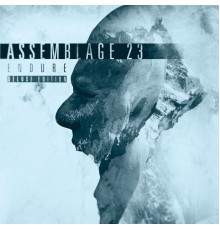 Assemblage 23 - Endure (Deluxe Edition)