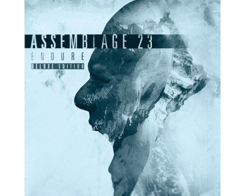 Assemblage 23 - Endure (Deluxe Edition) Assemblage 23 - Endure (Deluxe Edition)