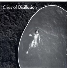 Assif Tsahar - Cries of Disillusion