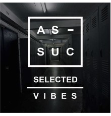 Assuc - Selected Vibes (Original Mix)