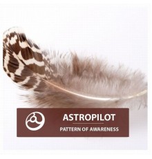 AstroPilot - Pattern of Awareness