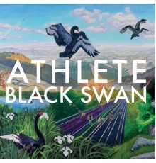 Athlete - Black Swan