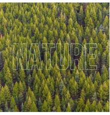 AtomFlow - Nature