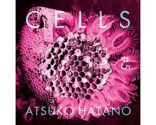 Atsuko Hatano - Cells #5