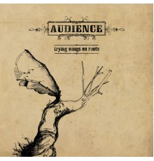 Audience - Trying Wings on Roots