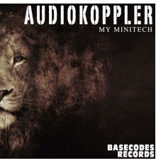 Audiokoppler - My Minitech