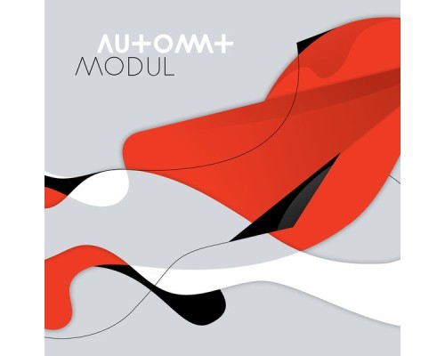 Automat - Modul