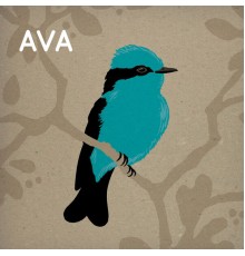 Ava - Ava